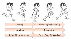 glutes and pelvic floor how to improve