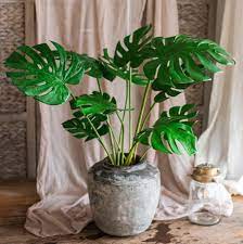artificial plants that look like the