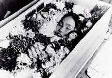 Wer war Sadako Sasaki und was hat sie mit dem atombombenabwurf zu tun?