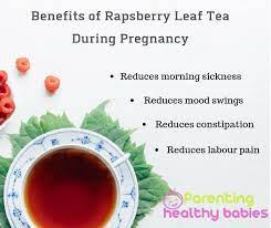 rapsberry leaf tea during pregnancy