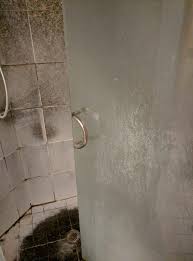 How To Clean Glass Shower Doors Bar