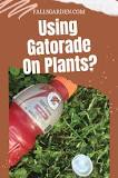 Is Gatorade good for plants?