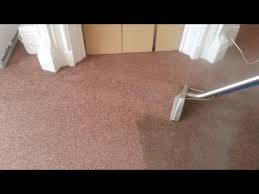 carpet steam cleaning you