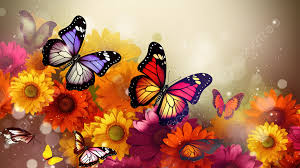 colorful erflies and flowers with