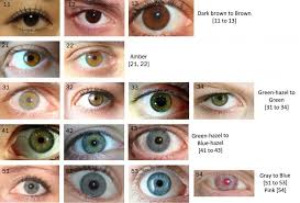 The Eye Color Chart Health Diy Rare Eye Colors Amber