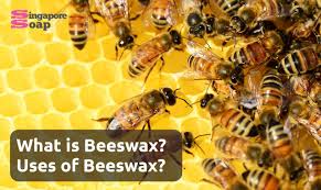 what is beeswax what is it used for