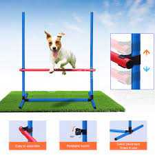 petscene dog agility equipment pet
