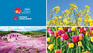 2024 hokkaido spring time flowers tour
