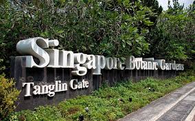 Resultado de imagem para singapore botanic gardens
