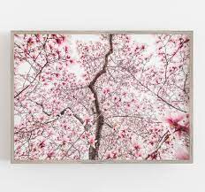 Cherry Blossoms Wall Art Pink Flowers