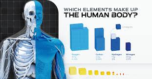 what chemical elements make up the