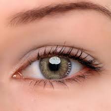 Ttdeye Egypt Brown Colored Contact Lenses