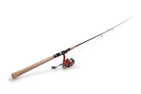 Rod means rate of descent. Fishing Rod Definition And Meaning Collins English Dictionary