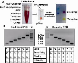 ilration of one stop pcr and its