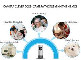 Dog 3G- Camera IP Thông Minh Dùng Wifi Hoặc Sim 3G