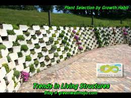 Living Retaining Wall Plant Selection