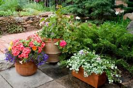 the best flower pot arrangements a