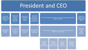 1 Typical Organizational Chart For A Hospital Disclosed