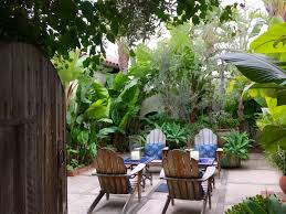 Silver triangle palms.dwarf trunk bottle palms.bromeliads.clussia.red cordylines and many. Tropical Ideas For Backyard