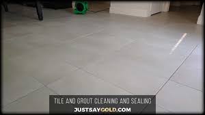 Great prices on eureka floors. 1 Tile And Grout Cleaning Roseville Gold Coast Flooring