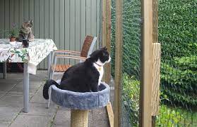 How To Build A Catio Bechewy