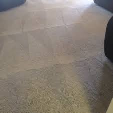 insta dry organic carpet cleaning