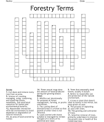 Horticulture Crossword Wordmint