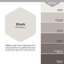 Shark Ppg Paint Color Ppg Paint