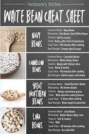 white beans the ultimate guide