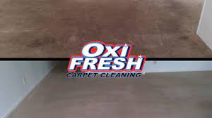 best 15 carpet cleaners in st johns