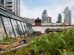 Best Rooftop Gardens In London