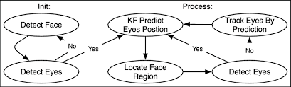 Flow Chart Of Eye Tracking Download Scientific Diagram