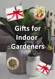 14 Great Gifts For Indoor Gardeners