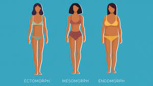 body type quiz are you an endomorph