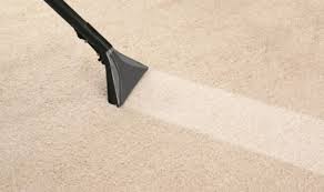 professional carpet cleaning in london