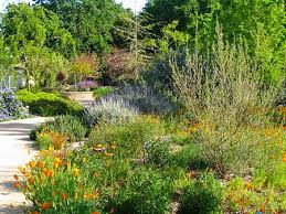 Water Efficient Landscape Gardens