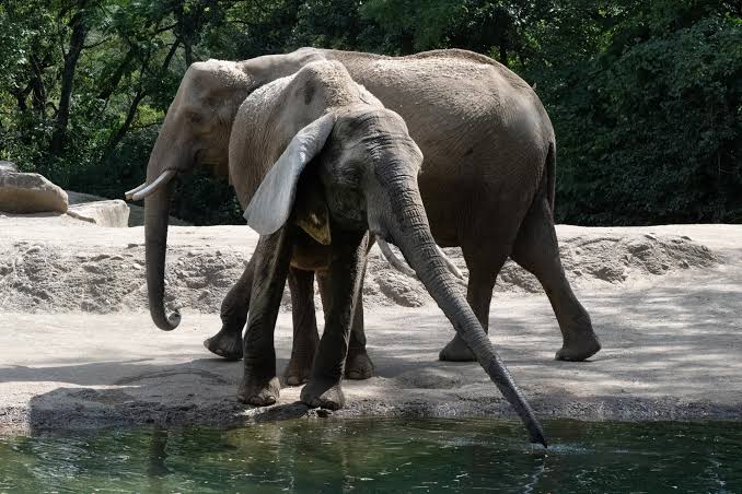 Pittsburgh Zoo & Aquarium