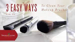 diy yl makeup brush cleaner young