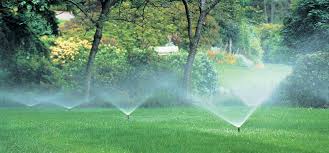 Make watering large areas a breeze. How To Use Our Landscape Irrigation Planning Designer Orbit Store