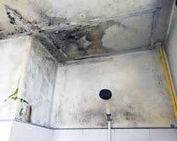 ceiling water leakage repair bathroom