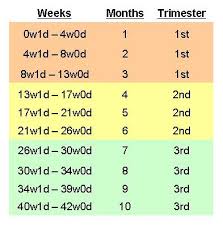 Pregnancy Weeks To Months Conversion