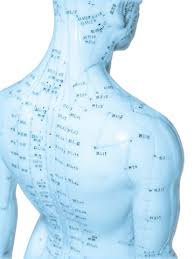 Acupressure Meridians Charts Points Location On All Meridians