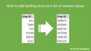 how to add leading zeros to numbers or