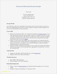 Professional Resumes Templates Free Example Of Professional Profile