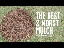 Worst Mulch For Your Garden