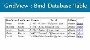 asp net gridview bind database table