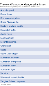 These Are The Worlds 19 Most Endangered Animals World