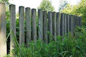 fence landscaping
