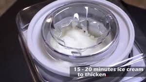 frozen yogurt sorbet ice cream maker