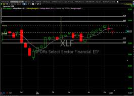 Xlf Top Of The Food Chain Catching One Monkey All The Time